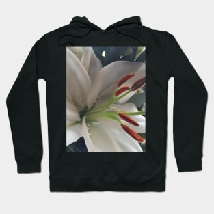 Soothing, Relaxing, Pure White Oriental Lily - For Friendship and Weddings Hoodie